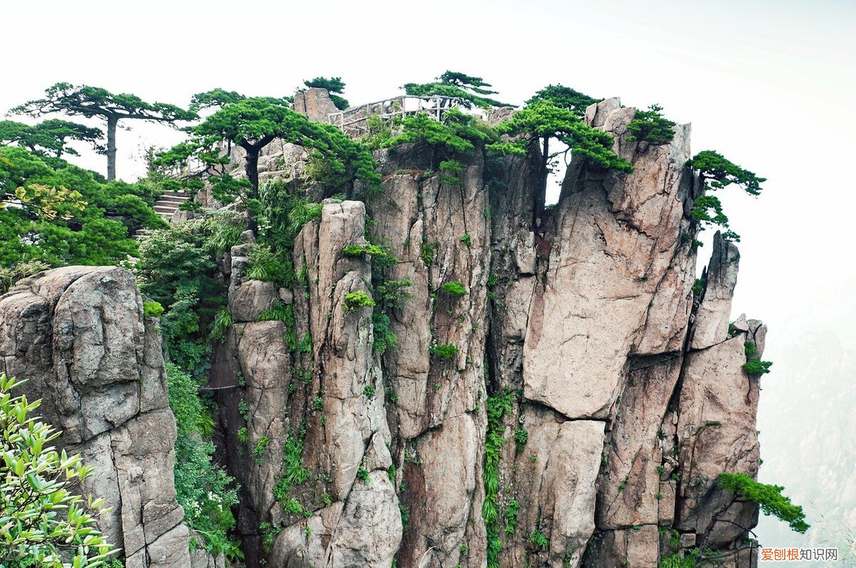 必须去的景点 国内旅游最值得去的地方有哪些