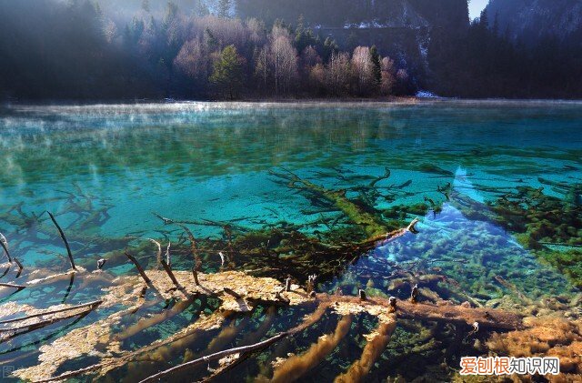 必须去的景点 国内旅游最值得去的地方有哪些