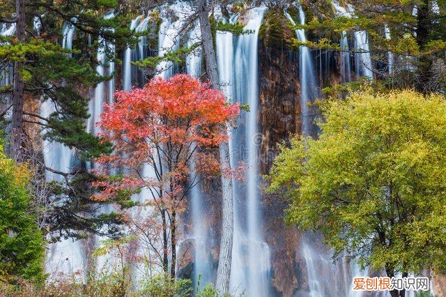 必须去的景点 国内旅游最值得去的地方有哪些