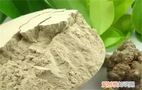 千万别用错,真该给所有人看看! 三七粉有6种人不能吃