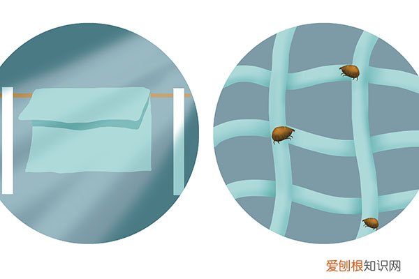 怎么判断床上有螨虫？被螨虫缠上的危害，不仅是长痘而已