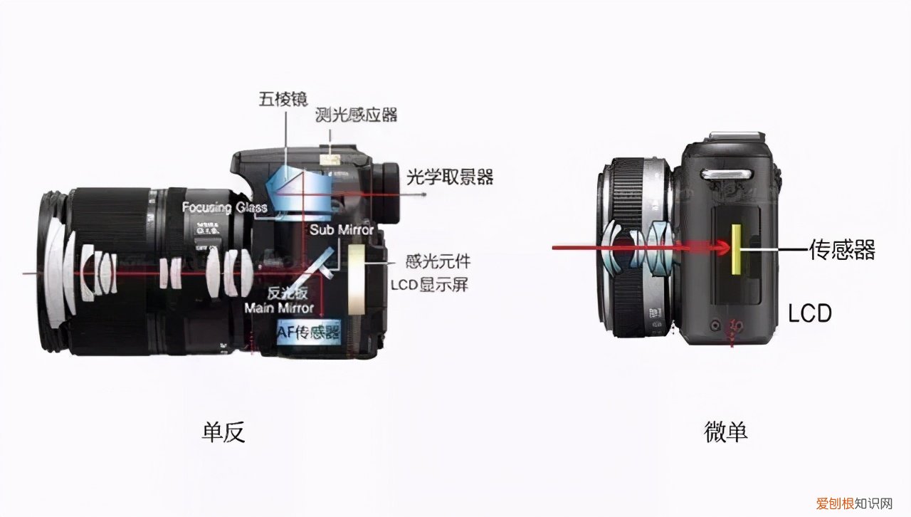微单和单反的区别，哪个更值得购买?