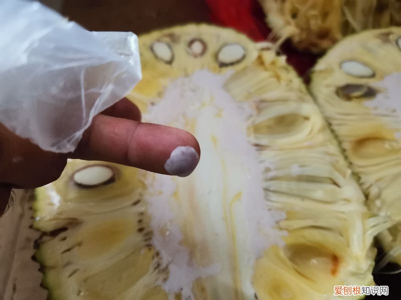 菠萝蜜的胶粘在手上怎么洗掉？以下这3种方法最实用
