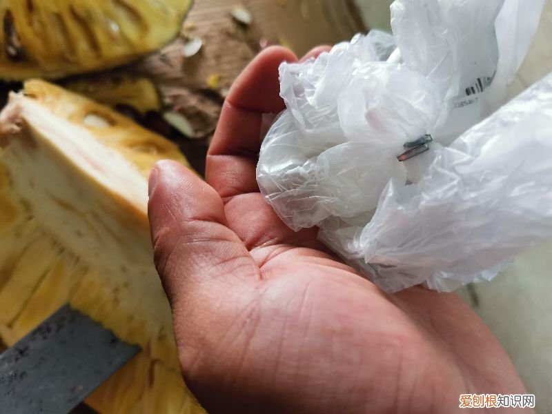 菠萝蜜的胶粘在手上怎么洗掉？以下这3种方法最实用