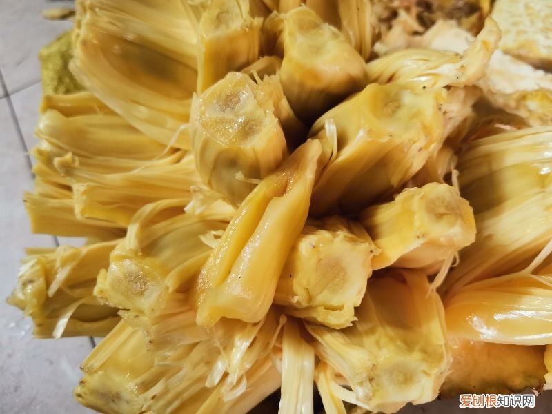 菠萝蜜的胶粘在手上怎么洗掉？以下这3种方法最实用