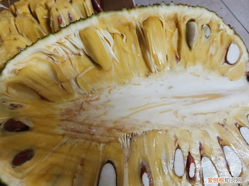 菠萝蜜的胶粘在手上怎么洗掉？以下这3种方法最实用
