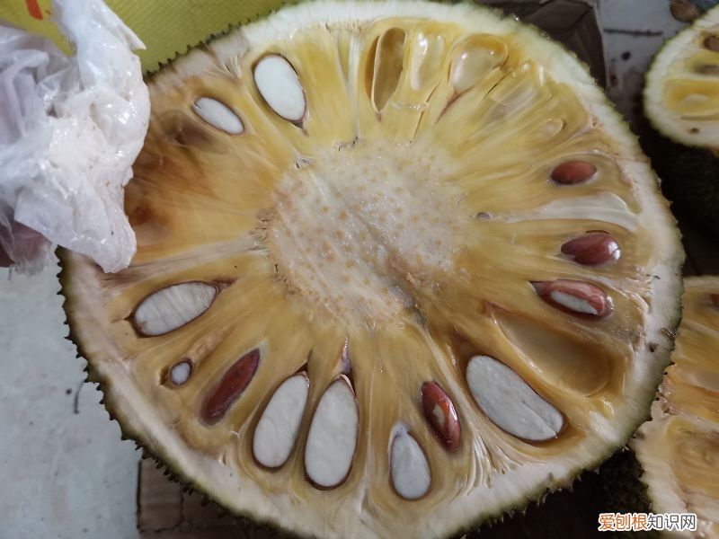 菠萝蜜的胶粘在手上怎么洗掉？以下这3种方法最实用
