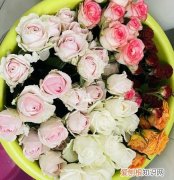 网上买的鲜花怎么醒