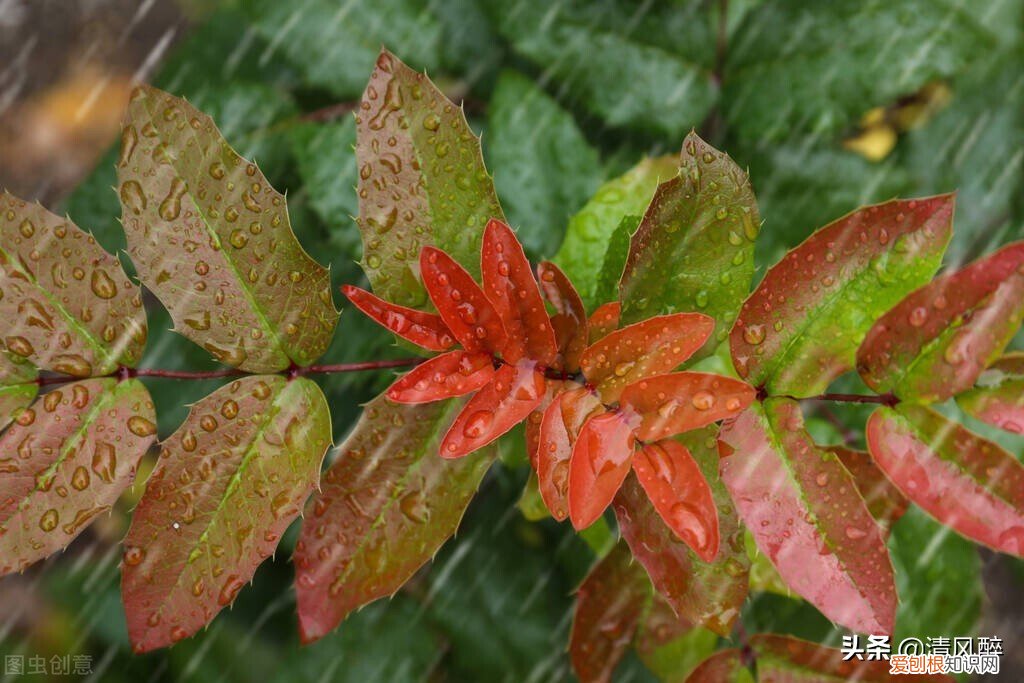 适合雨天深夜发的伤感说说 抖音上最火的下雨说说