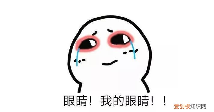 手机进水了怎么处理比较好？可以选择这些方法进行处理