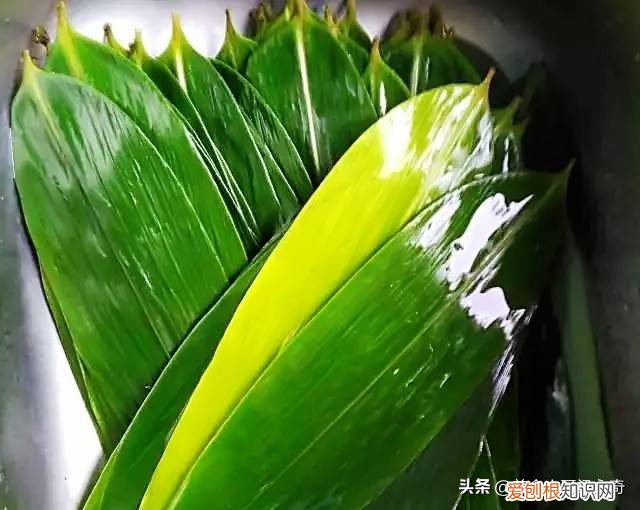 教你粽子的详细做法 粽子的制作方法步骤