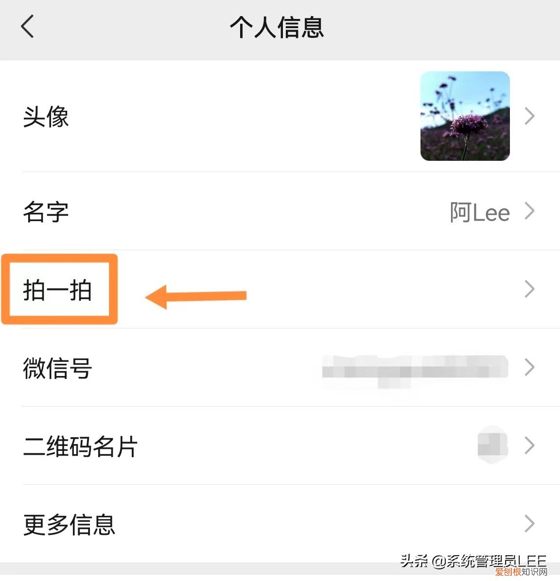 微信拍一拍怎么用？原来还可以这样玩？