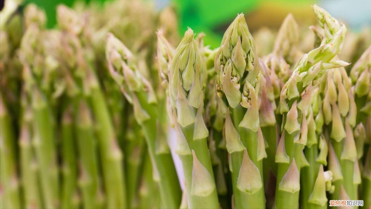 芦笋要削皮吗？需要根据芦笋的新鲜程度来决定