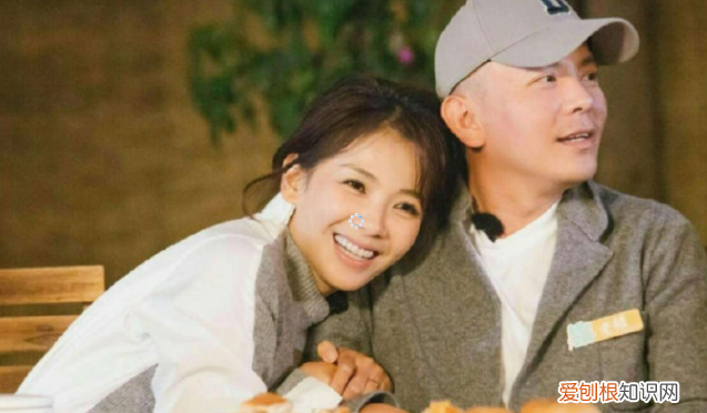 刘涛怒发声明辟谣 刘涛离了婚是真的吗