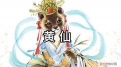 小黄仙是什么