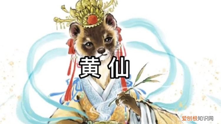 小黄仙是什么