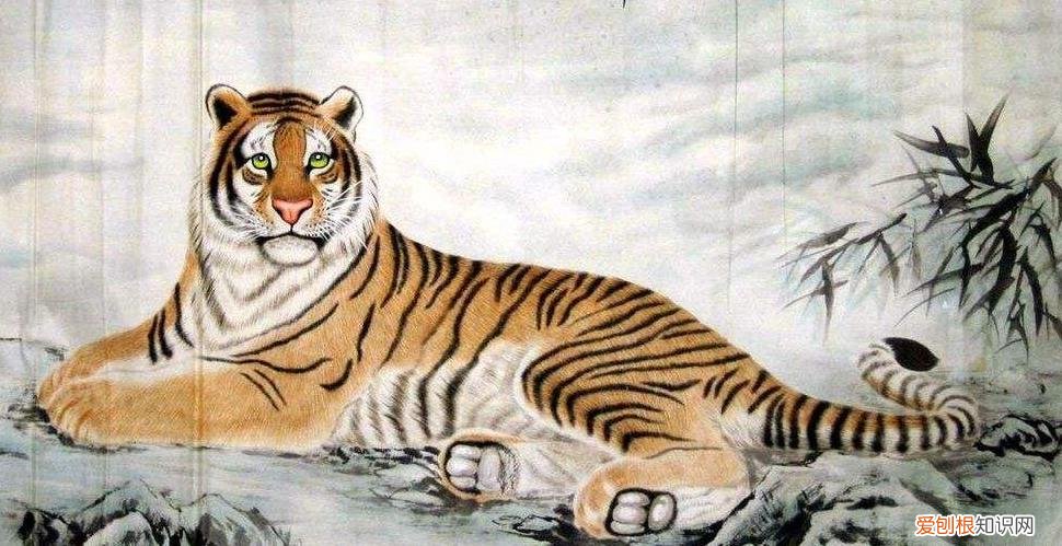 本命年有什么讲究和禁忌 本命年虎年要注意什么