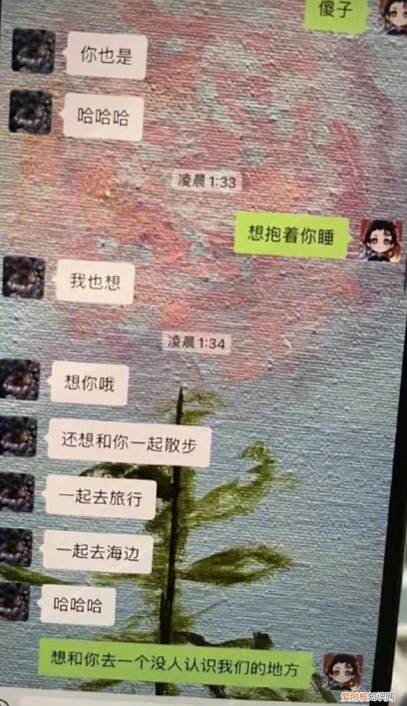 被曝当第三者，456成为网络热词 孟美岐456是什么意思