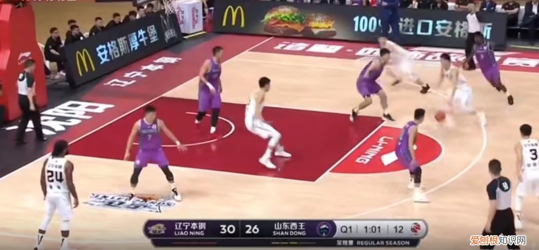 篮球儒帅杨鸣：白马少年到暴躁老哥 杨鸣个人资料图片