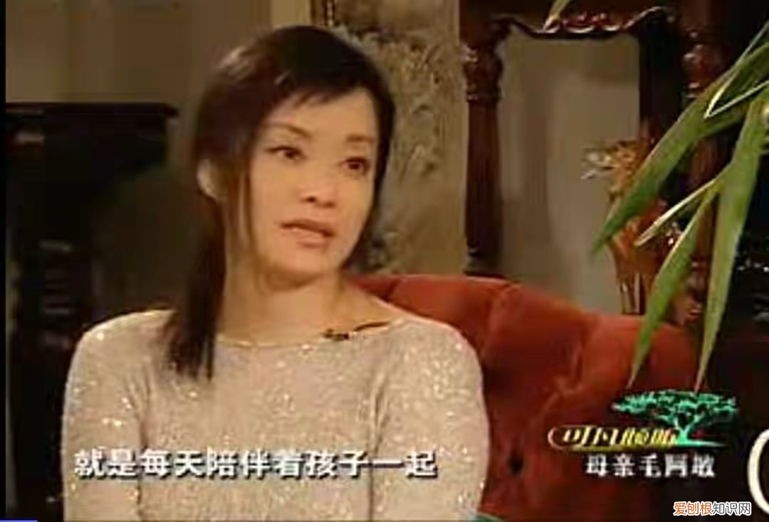 老公解直锟病逝，曾被毛阿敏倒追 毛阿敏老公个人资料