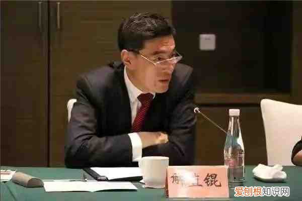 老公解直锟病逝，曾被毛阿敏倒追 毛阿敏老公个人资料