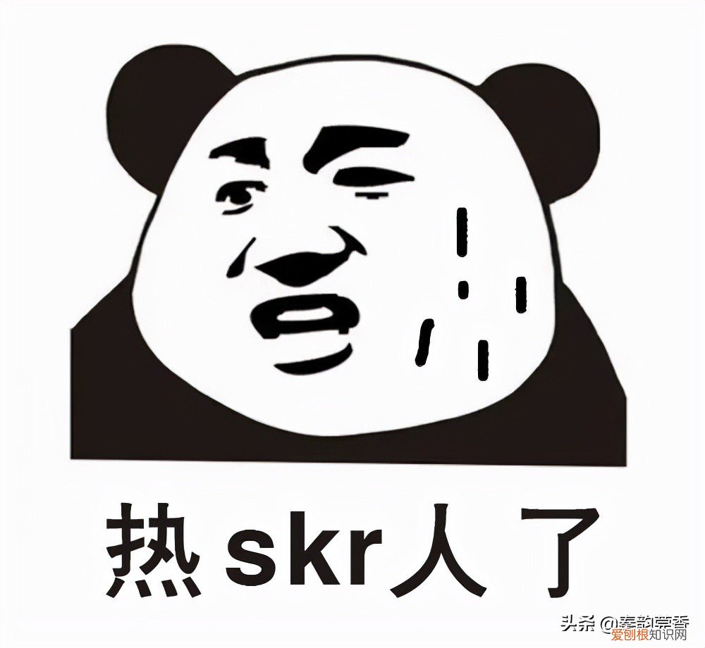 看了全明白 SXN用输入法打出来什么意思