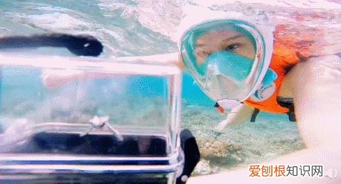 魏晨老婆是谁？魏晨老婆是初恋吗