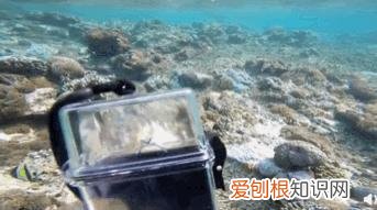 魏晨老婆是谁？魏晨老婆是初恋吗
