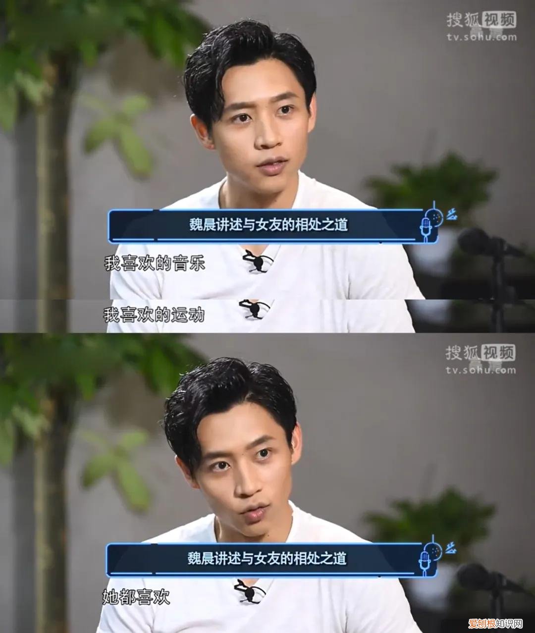 魏晨老婆是谁？魏晨老婆是初恋吗