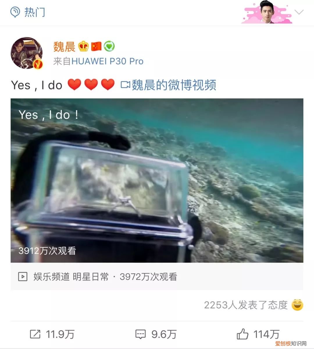 魏晨老婆是谁？魏晨老婆是初恋吗