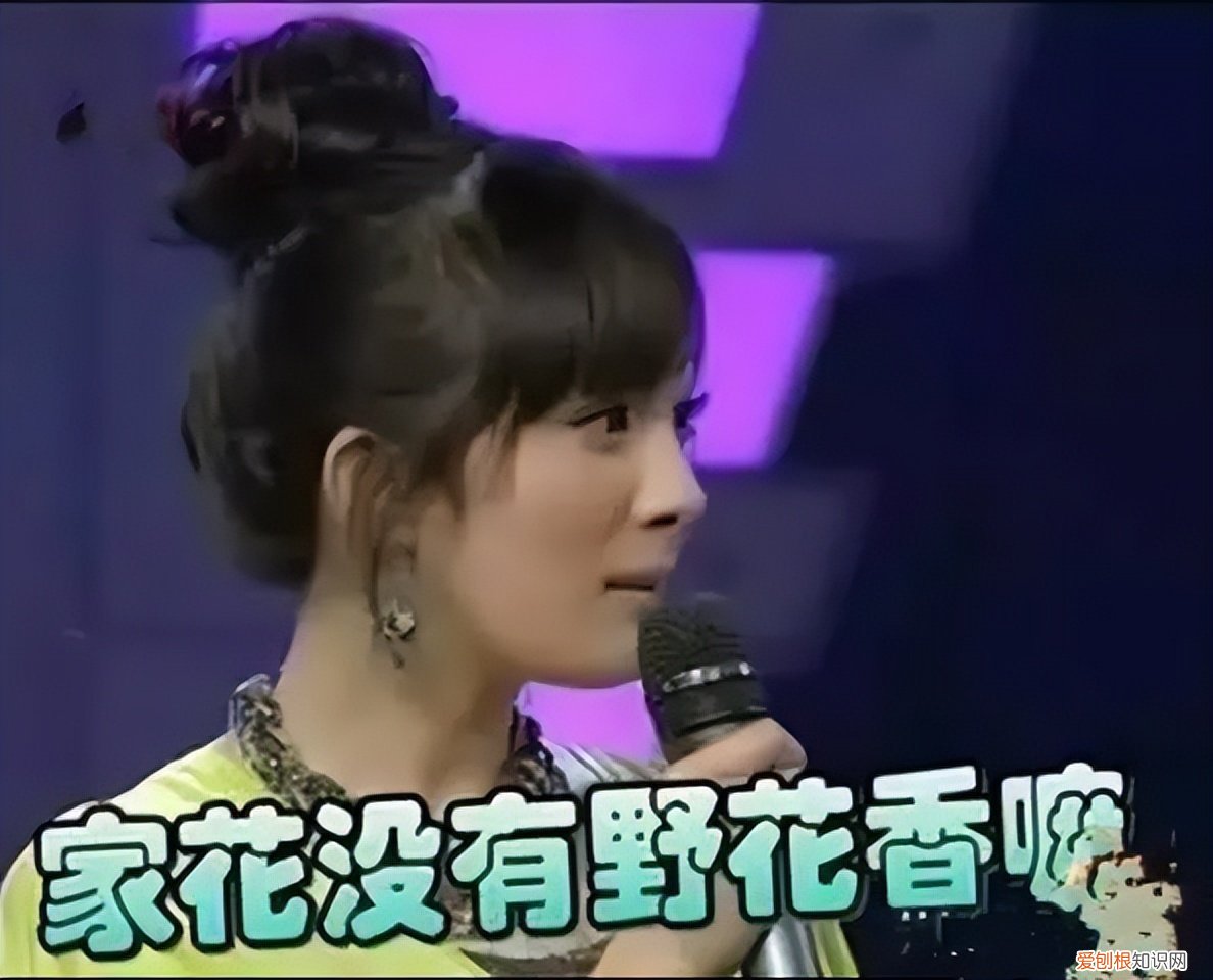 何炅事件是怎么回事?终于尝到了世态炎凉的滋味