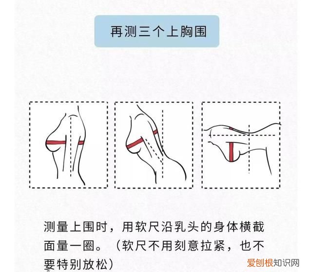 女生胸部冷知识,8条胸部冷知识你都知道吗
