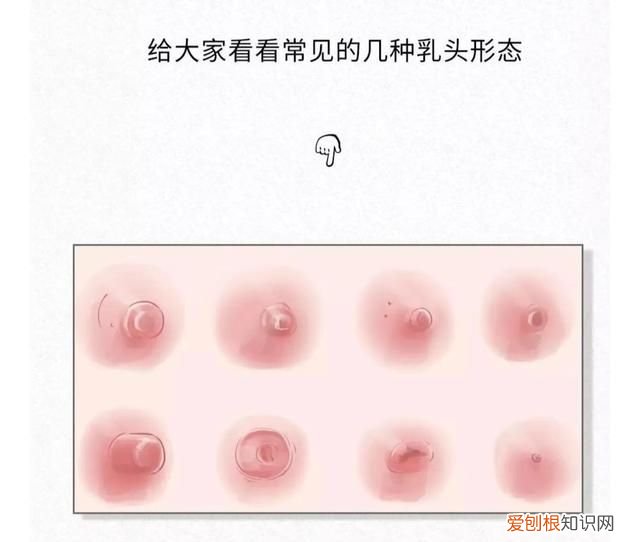 女生胸部冷知识,8条胸部冷知识你都知道吗