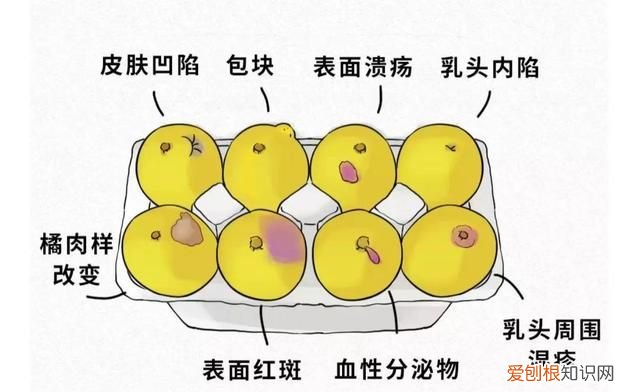 女生胸部冷知识,8条胸部冷知识你都知道吗