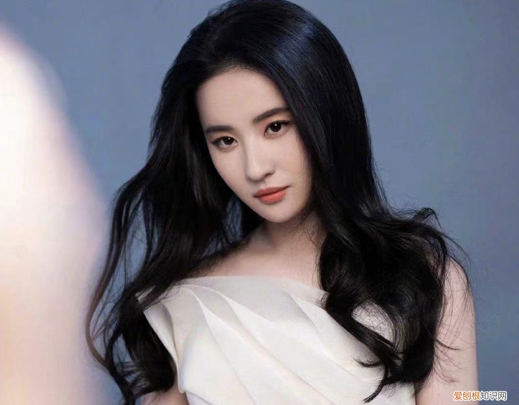 夏士莲洗发水怎么样？附：5款国货洗发水，平价还好用