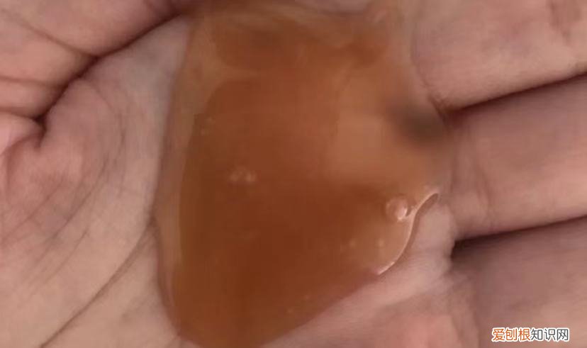 夏士莲洗发水怎么样？附：5款国货洗发水，平价还好用