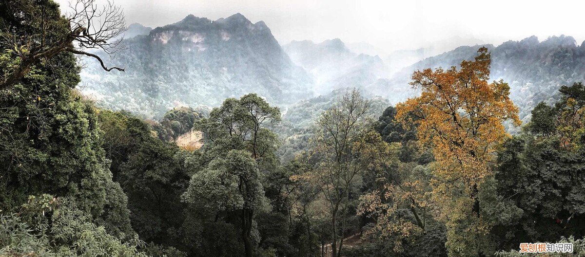 青城山最详细攻略,请收好 青城山旅游攻略