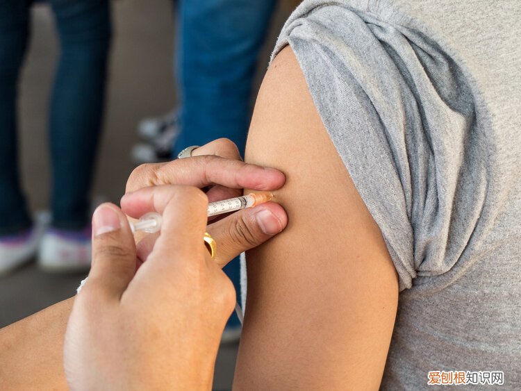最好在24小时内接种 狂犬疫苗最佳时间是多少小时内