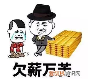 被拖欠工资怎么办？拖欠工资12333会怎么处理