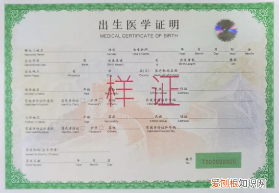 出生证明丢了怎么办怎么补办？这几个材料需要提供