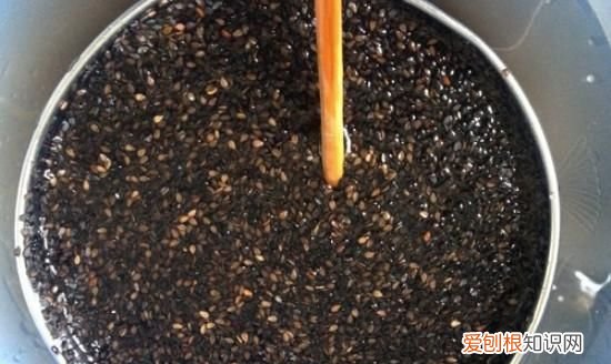 怎样炒芝麻更香窍门