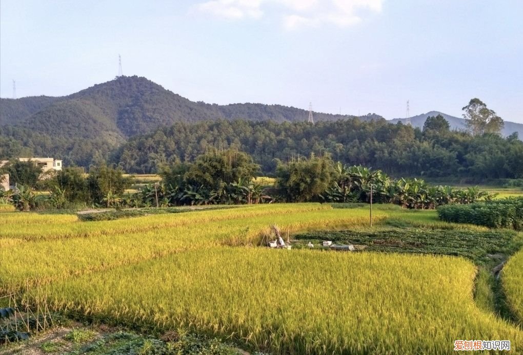 土地亩数计算方法 亩和平方米的换算