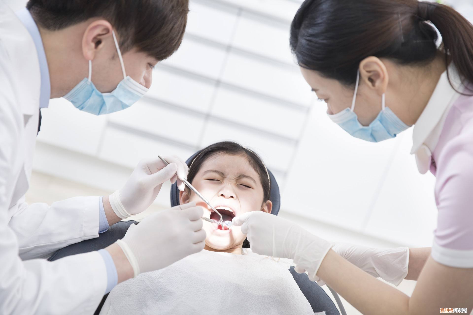 合法安全的高利润产品暴利的行业