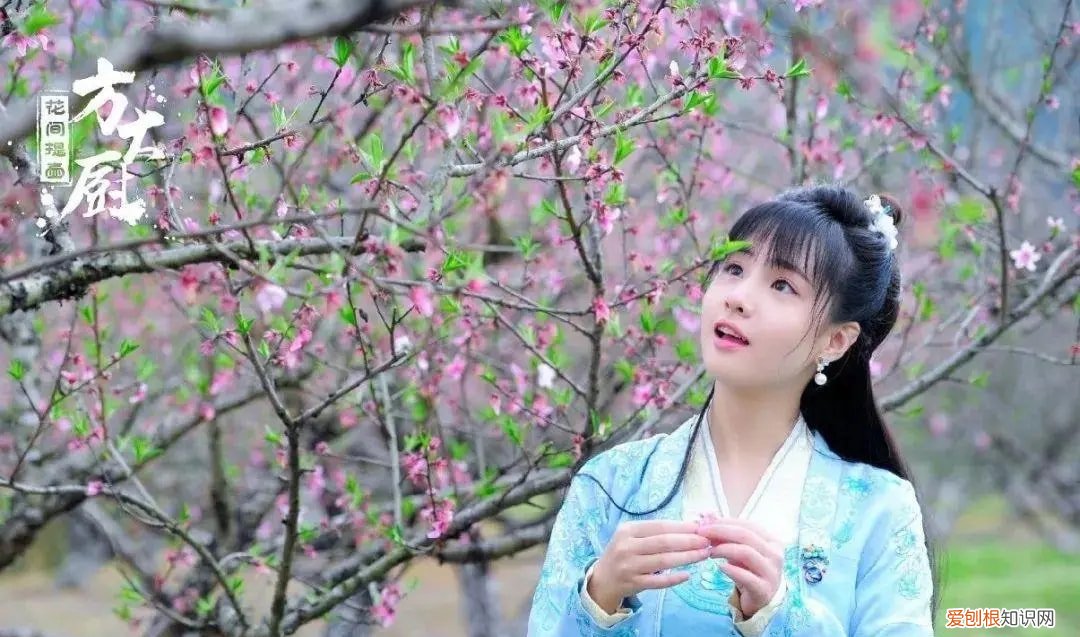 尚雯婕老公个人资料 曾舜晞被曝出轨尚雯婕老公？