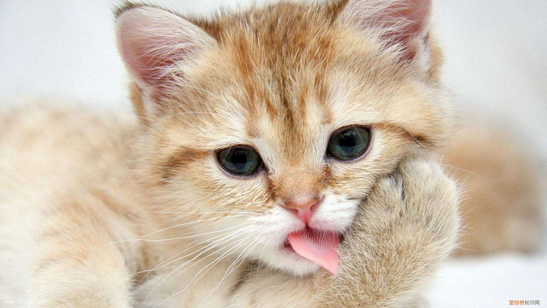 青少年祛痘产品哪个牌子好 青少年去痘产品哪种好