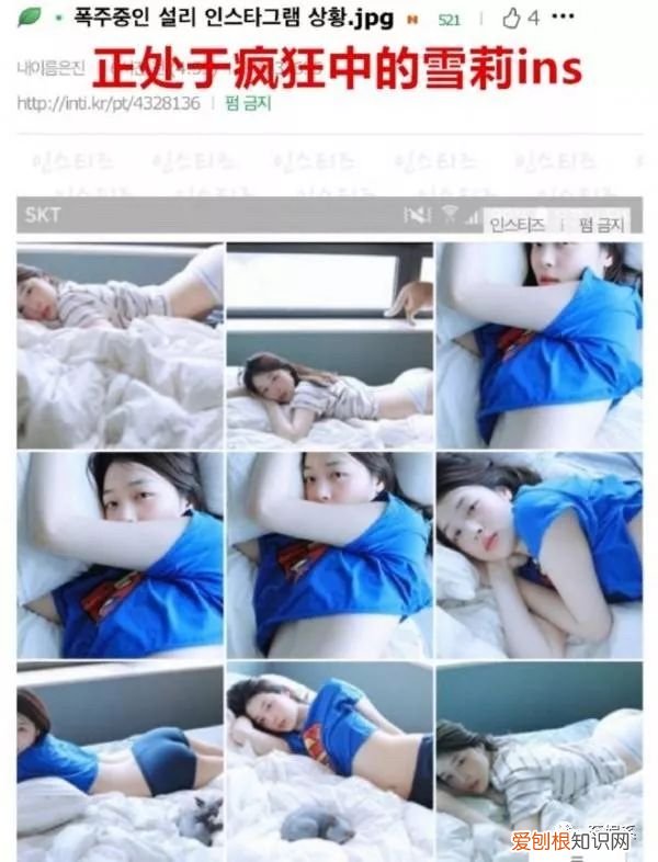 到底是谁杀死了崔雪莉？崔雪莉ins号多少