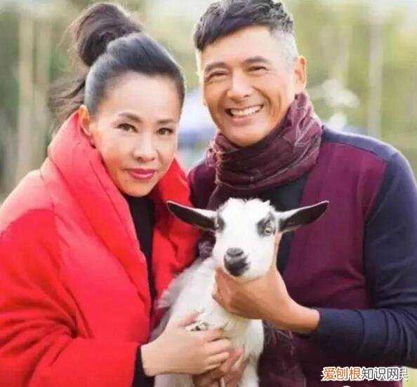 周润发有孩子吗?62岁周润发膝下无子真相浮出水面