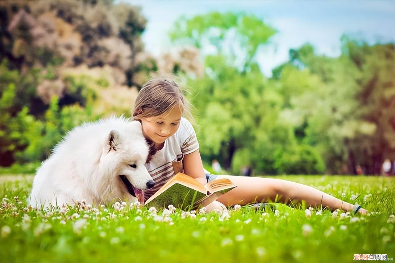 如何保护生态环境500字 如何保护生态环境