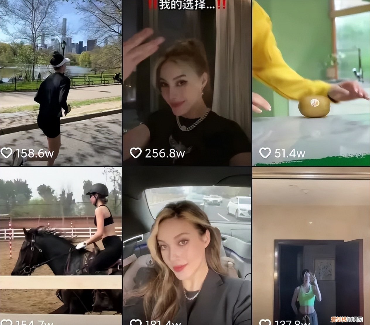 RUN了是什么梗？RUN在英语里,是跑路