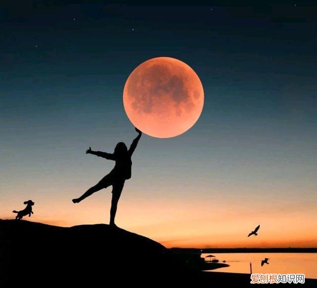 容易上热门的人生感悟文案有哪些